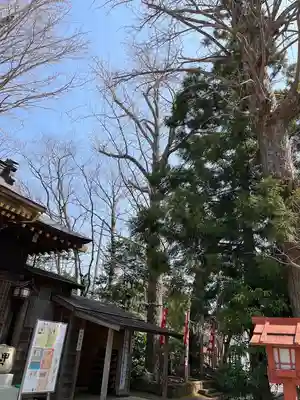 麻賀多神社(千葉県)