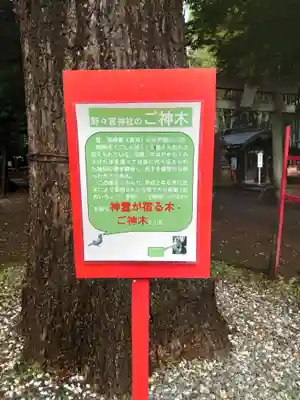 野々宮神社(埼玉県)