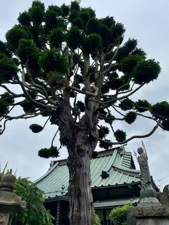 眞浄院(神奈川県)
