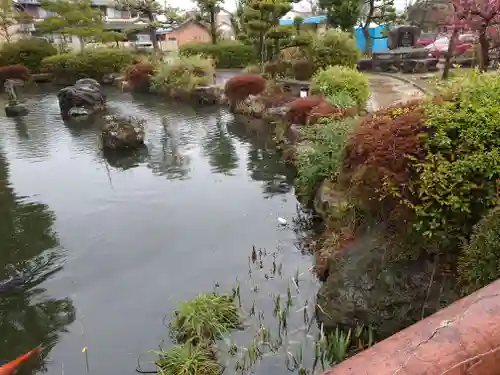 圓鏡寺(岐阜県)