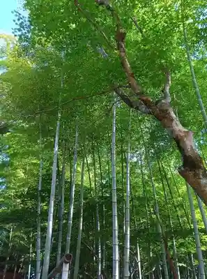 八王寺(埼玉県)