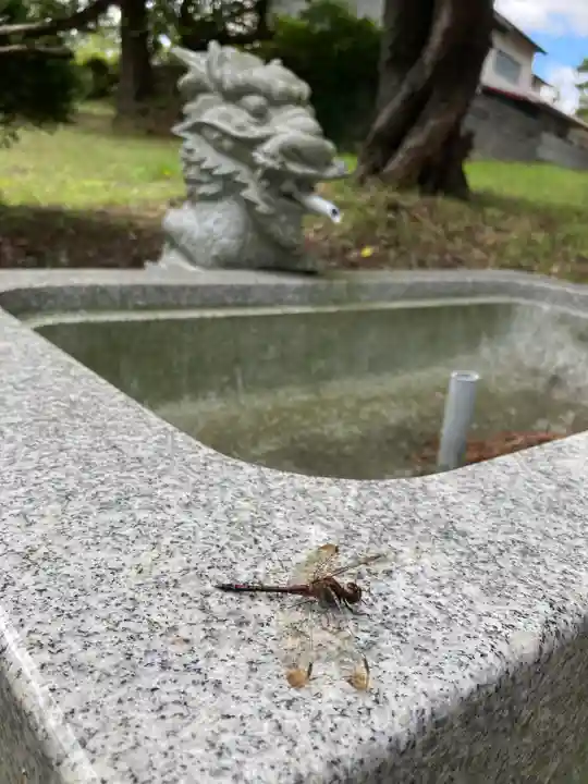 宇倍神社の動物