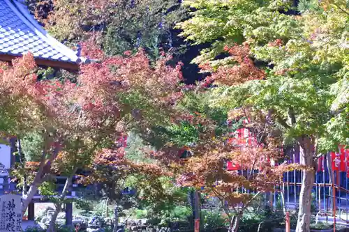 龍田大社の自然