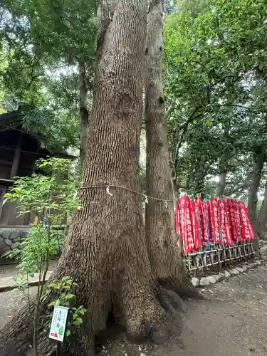 鶴嶺八幡宮(神奈川県)