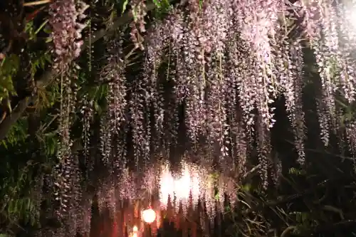 中山熊野神社(福岡県)