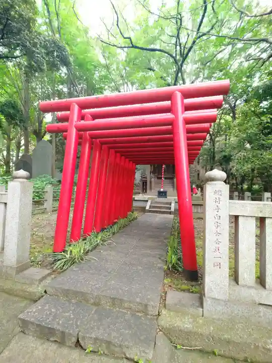 総持寺(神奈川県)