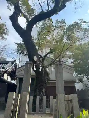 素盞烏尊神社(大阪府)