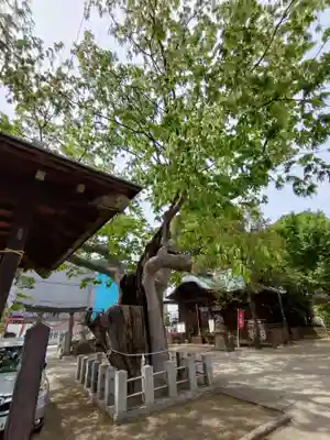 阿邪訶根神社(福島県)
