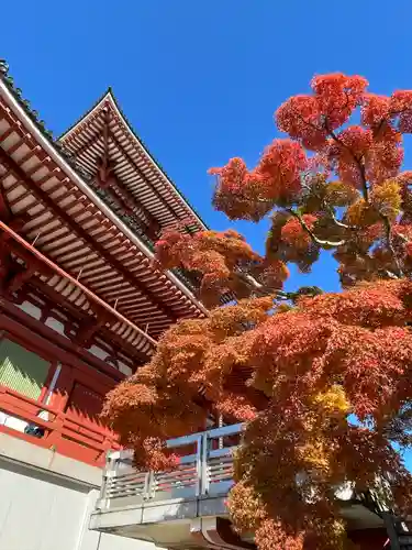 成田山新勝寺のその他建物