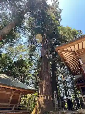 鷲子山上神社(栃木県)