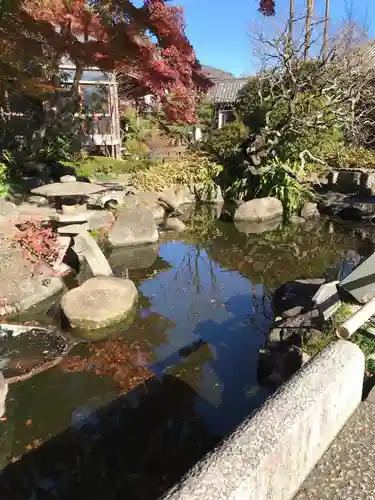 長谷寺の庭園