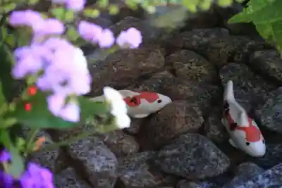 滑川神社 - 仕事と子どもの守り神の手水舎