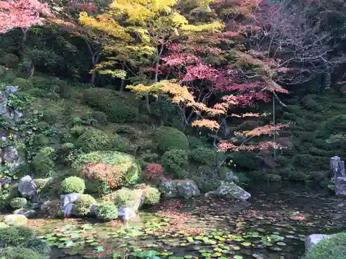 金剛輪寺の庭園