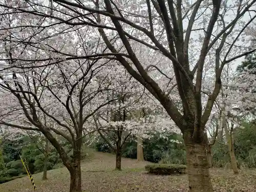 射水神社の自然