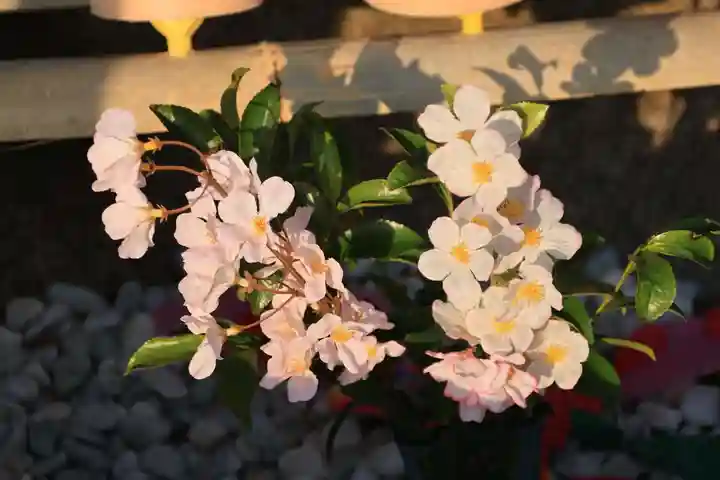 阿久津「田村神社」(郡山市阿久津町)旧社名:伊豆箱根三嶋三社の手水舎