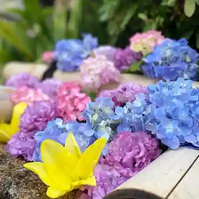 早稲田神社の手水舎