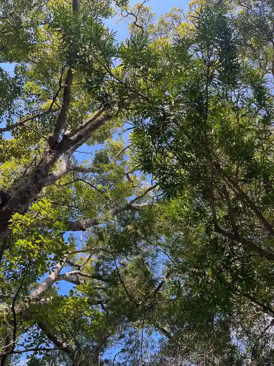 安房神社(千葉県)