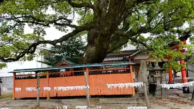 龍田神社の自然