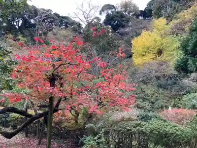 光則寺(神奈川県)