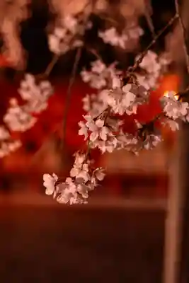 富士山本宮浅間大社(静岡県)