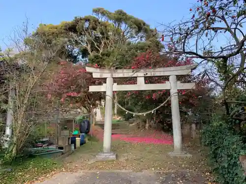 春日神社の鳥居