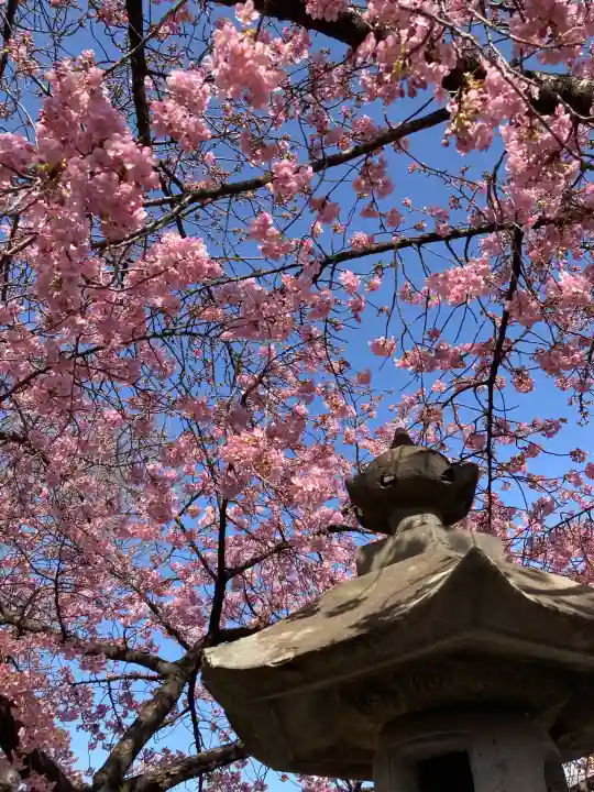 鏡神社の{uncategorized: "未分類", other: "その他", undefined: "問題あり", building: "その他建物", grave: "お墓", sacred_gate: "鳥居", guardian: "狛犬", statue: "像", buddha: "仏像", history: "歴史", nature: "自然", garden: "庭園", animal: "動物", pagoda: "塔", temizu: "手水舎", mountain_gate: "山門・神門", sanctuary: "本殿・本堂", subordinate: "末社・摂社", art: "芸術", scenery: "景色", jizo: "地蔵", ema: "絵馬", goshuin: "御朱印", omikuji: "おみくじ", items: "授与品その他", amulet: "お守り", goshuincho: "御朱印帳", eats: "食事", festival: "お祭り", votive_dance: "神楽", shichigosan: "七五三参", wedding: "結婚式", experience: "体験その他", initially: "初詣", around: "周辺", anti_infection: "感染症対策"}