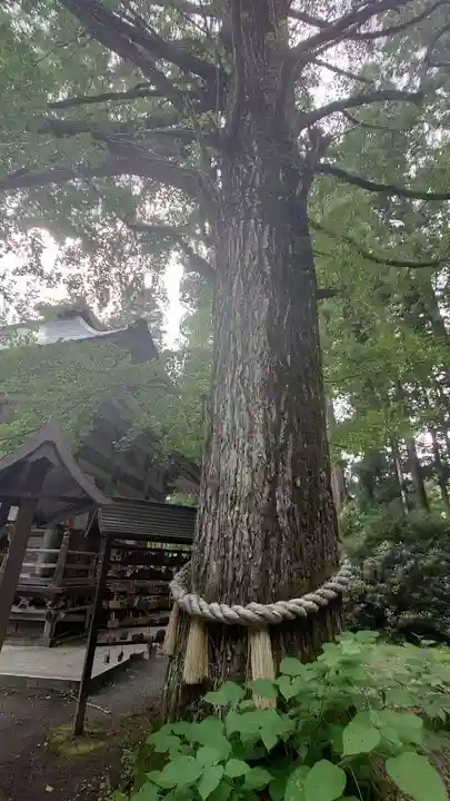 西光寺(宮城県)