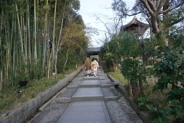 高台寺(高台寿聖禅寺・高臺寺)のその他建物