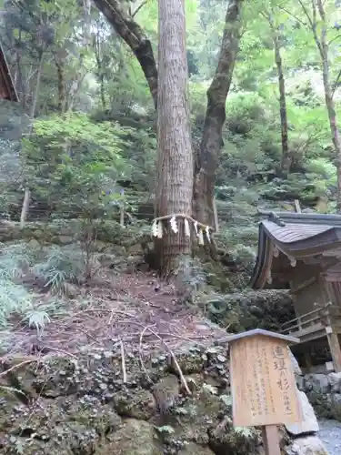 貴船神社の自然