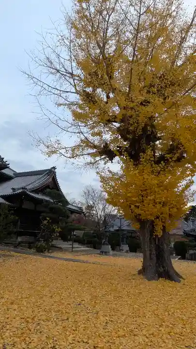 本願寺山科別院(京都府)