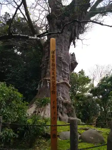 荏柄天神社(神奈川県)