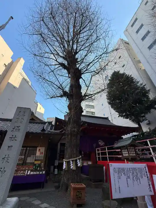 日本橋日枝神社の{uncategorized: "未分類", other: "その他", undefined: "問題あり", building: "その他建物", grave: "お墓", sacred_gate: "鳥居", guardian: "狛犬", statue: "像", buddha: "仏像", history: "歴史", nature: "自然", garden: "庭園", animal: "動物", pagoda: "塔", temizu: "手水舎", mountain_gate: "山門・神門", sanctuary: "本殿・本堂", subordinate: "末社・摂社", art: "芸術", scenery: "景色", jizo: "地蔵", ema: "絵馬", goshuin: "御朱印", omikuji: "おみくじ", items: "授与品その他", amulet: "お守り", goshuincho: "御朱印帳", eats: "食事", festival: "お祭り", votive_dance: "神楽", shichigosan: "七五三参", wedding: "結婚式", experience: "体験その他", initially: "初詣", around: "周辺", anti_infection: "感染症対策"}