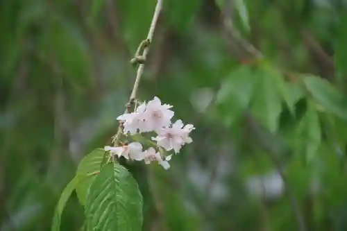豊景神社の自然