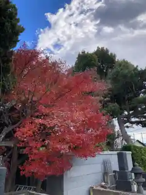 清雲寺(神奈川県)