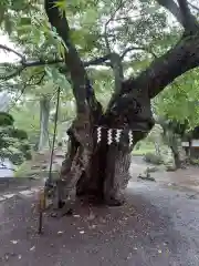 松尾山観音(山形県)