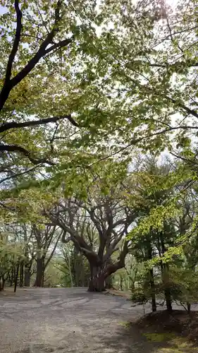 相馬神社の自然