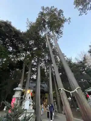 豊川閣　妙厳寺(愛知県)