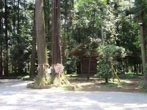 間々田八幡宮(栃木県)