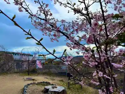 與杼神社(京都府)