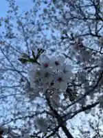 二兒神社(福岡県)