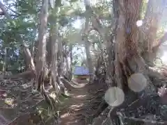 塩釜神社の自然