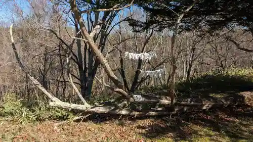 釧路神社のおみくじ