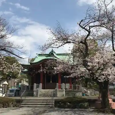 木場 洲﨑神社の本殿・本堂