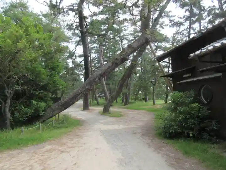 天橋立神社(京都府)