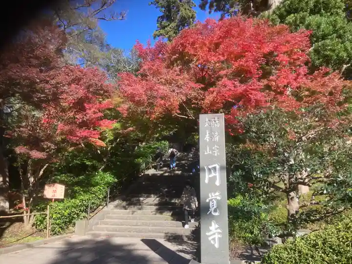 円覚寺(神奈川県)