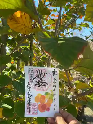 妙蓮寺(神奈川県)