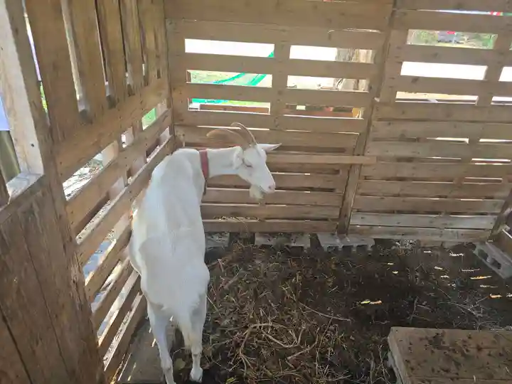 法華寺(兵庫県)