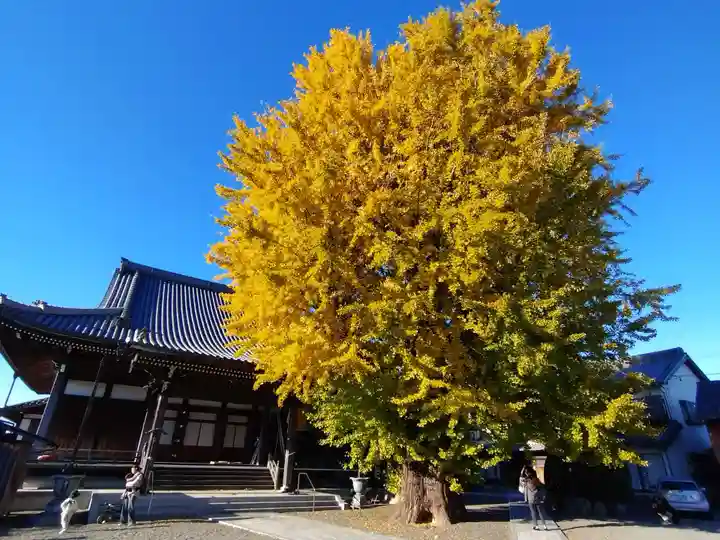 円通寺(三重県)