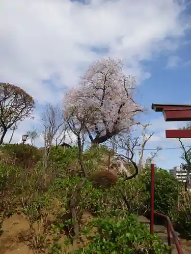 白山神社の庭園