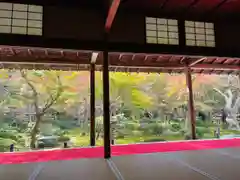 圓光寺の庭園